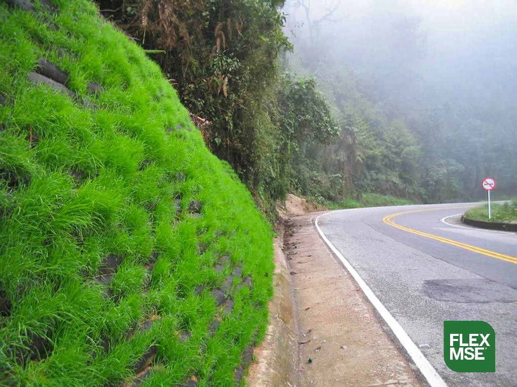 Roadside - Colombia