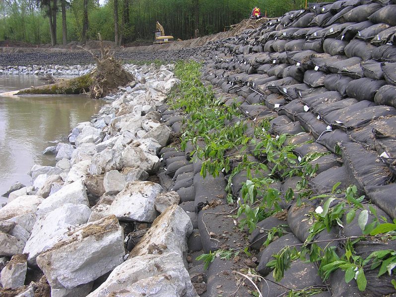 Major River Bank Stabilization - Brush Layering between bags